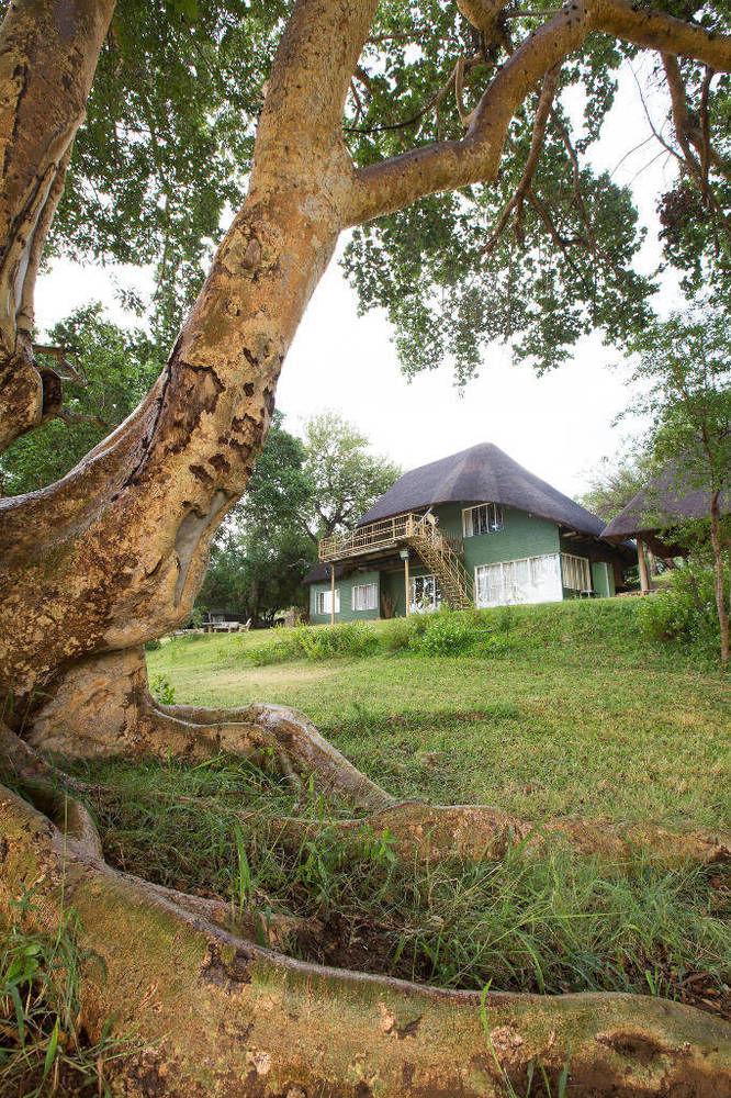 Maninghi Lodge Hoedspruit Buitenkant foto